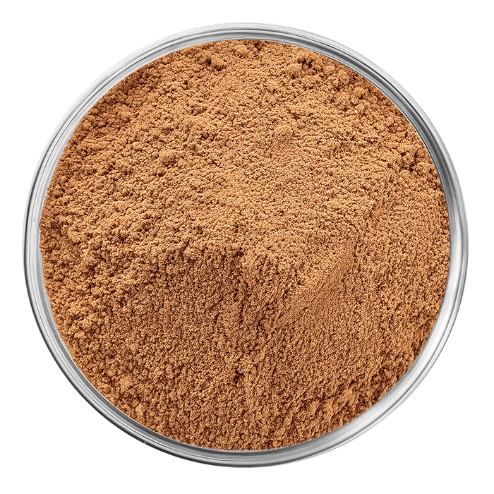 cannelle image matiere