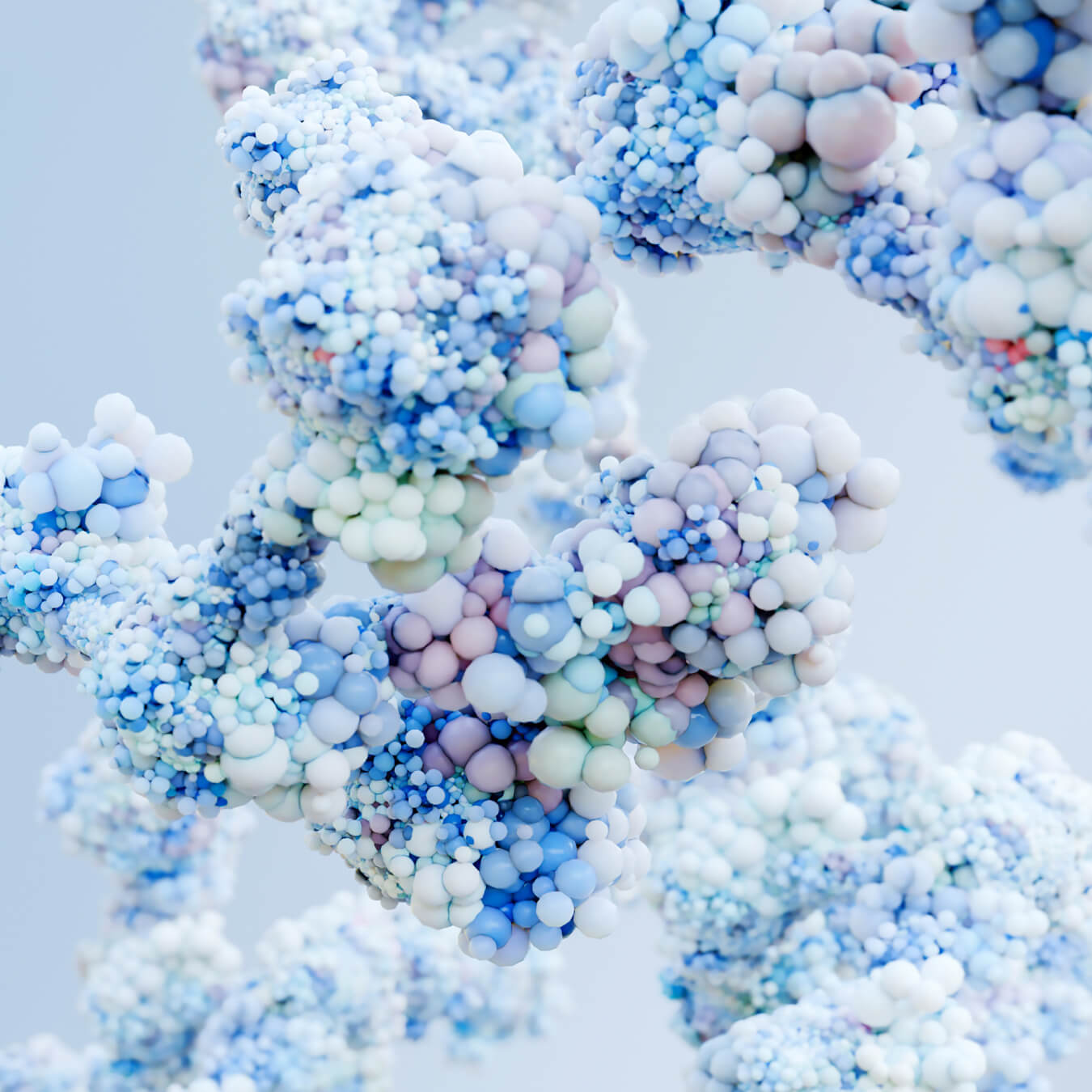 carnosine image ingredient