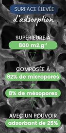 charbon vegetal active