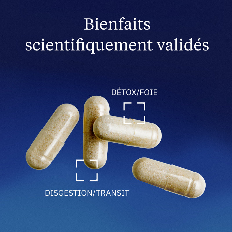 Chardon Marie BIO bienfaits