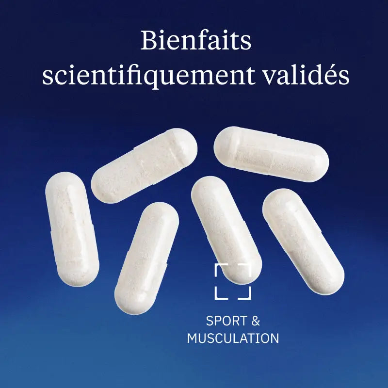 chondroitine sulfate hero image bienfaits