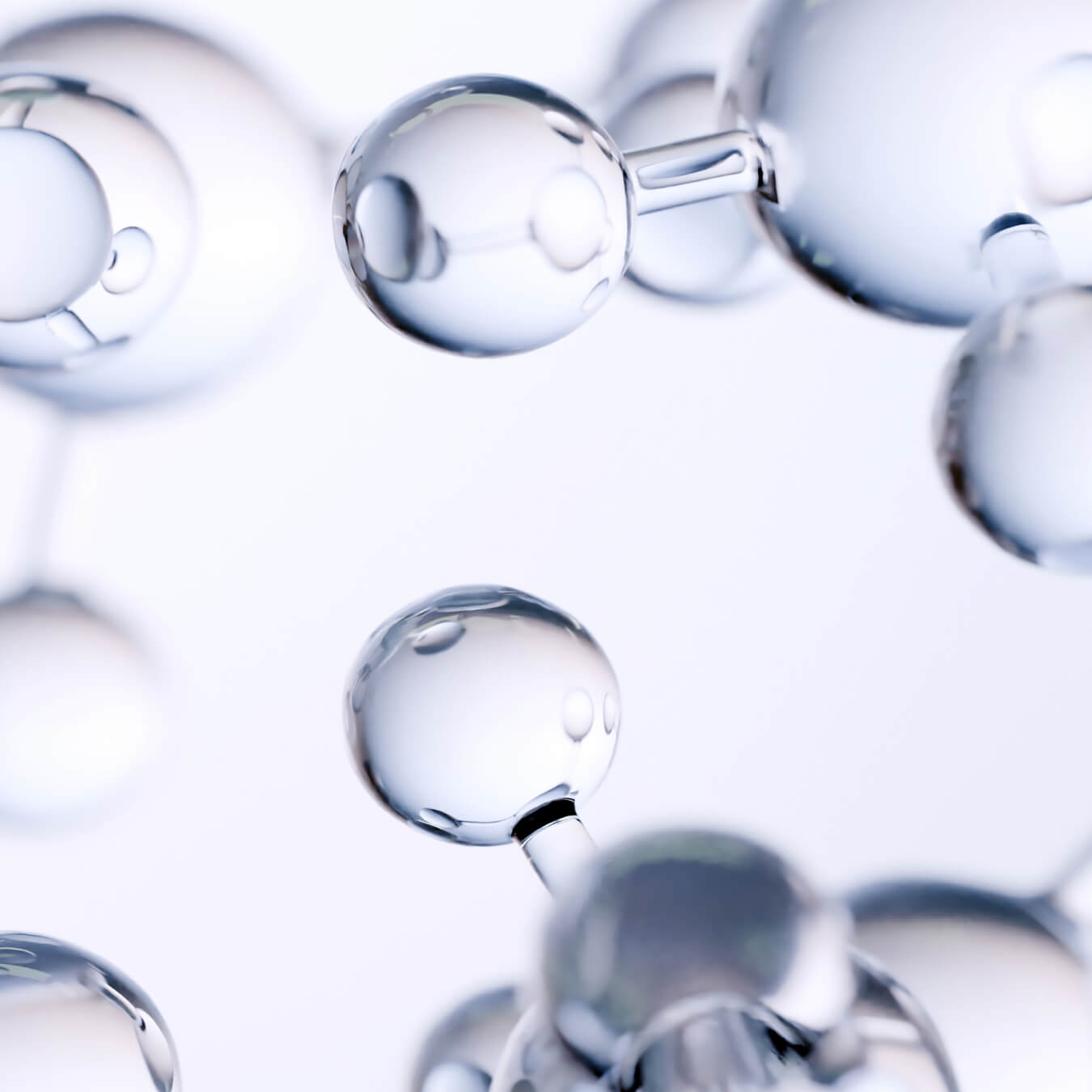 chondroitine sulfate image ingredient