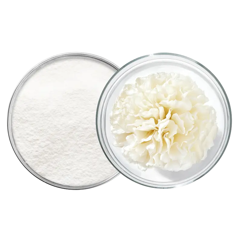 collagene acide hyaluronique