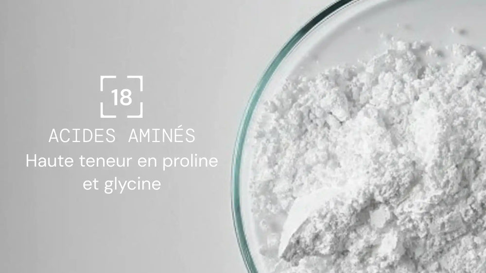 collagene marin acides amines