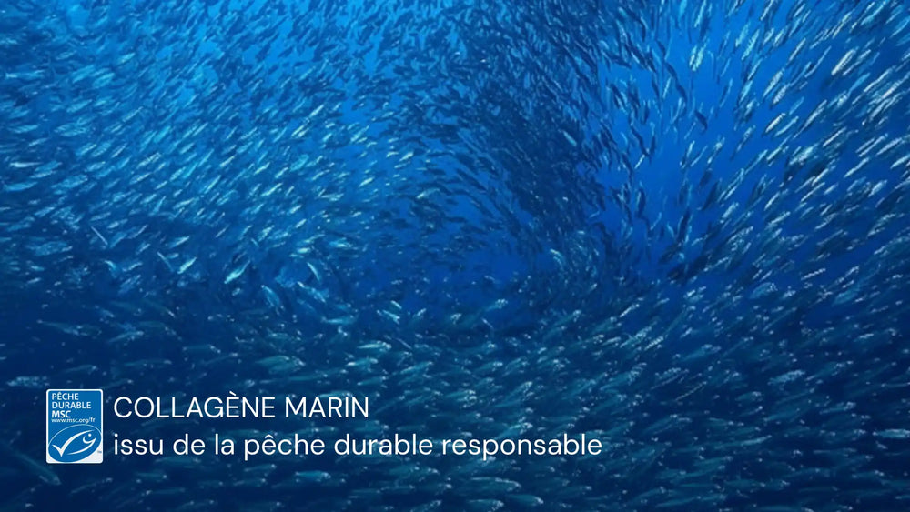 collagene peche responsable