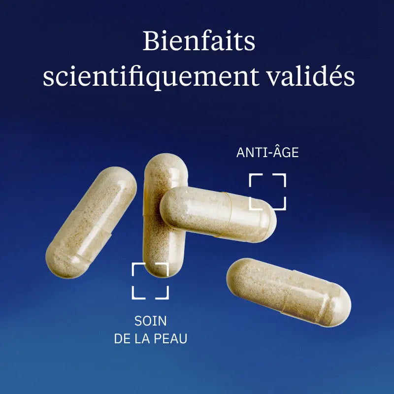 Collagène végétarien Ovoderm