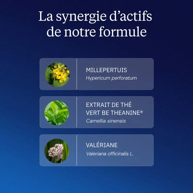 complexe endormissement bienfaits actifs