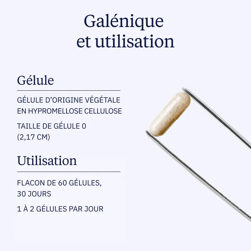 complexe fer galenique