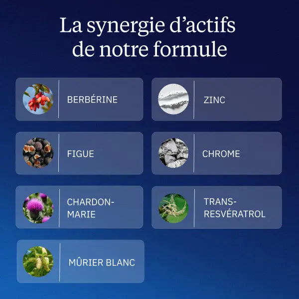 complexe glycemie bienfaits actifs