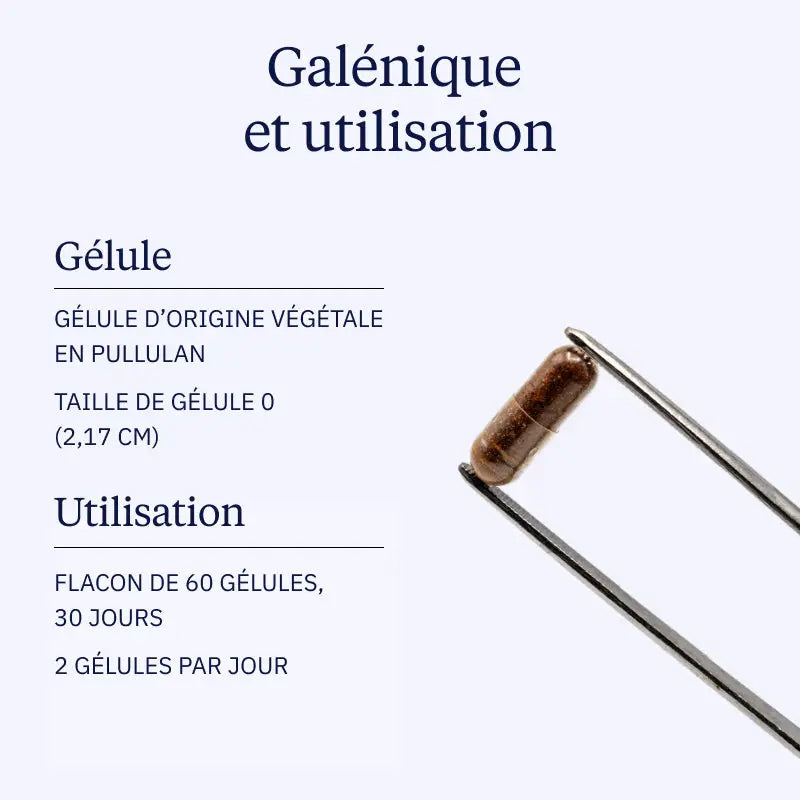 Multivitamines Multi27