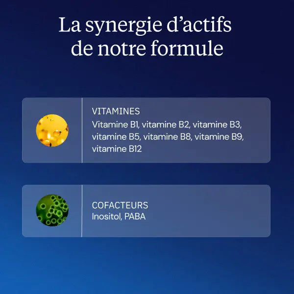 complexe multi b bienfaits actifs