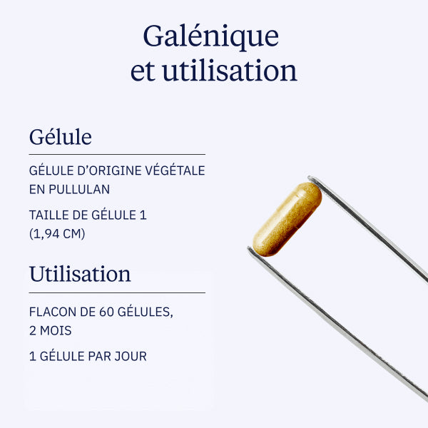 Complexe vitamines B galénique