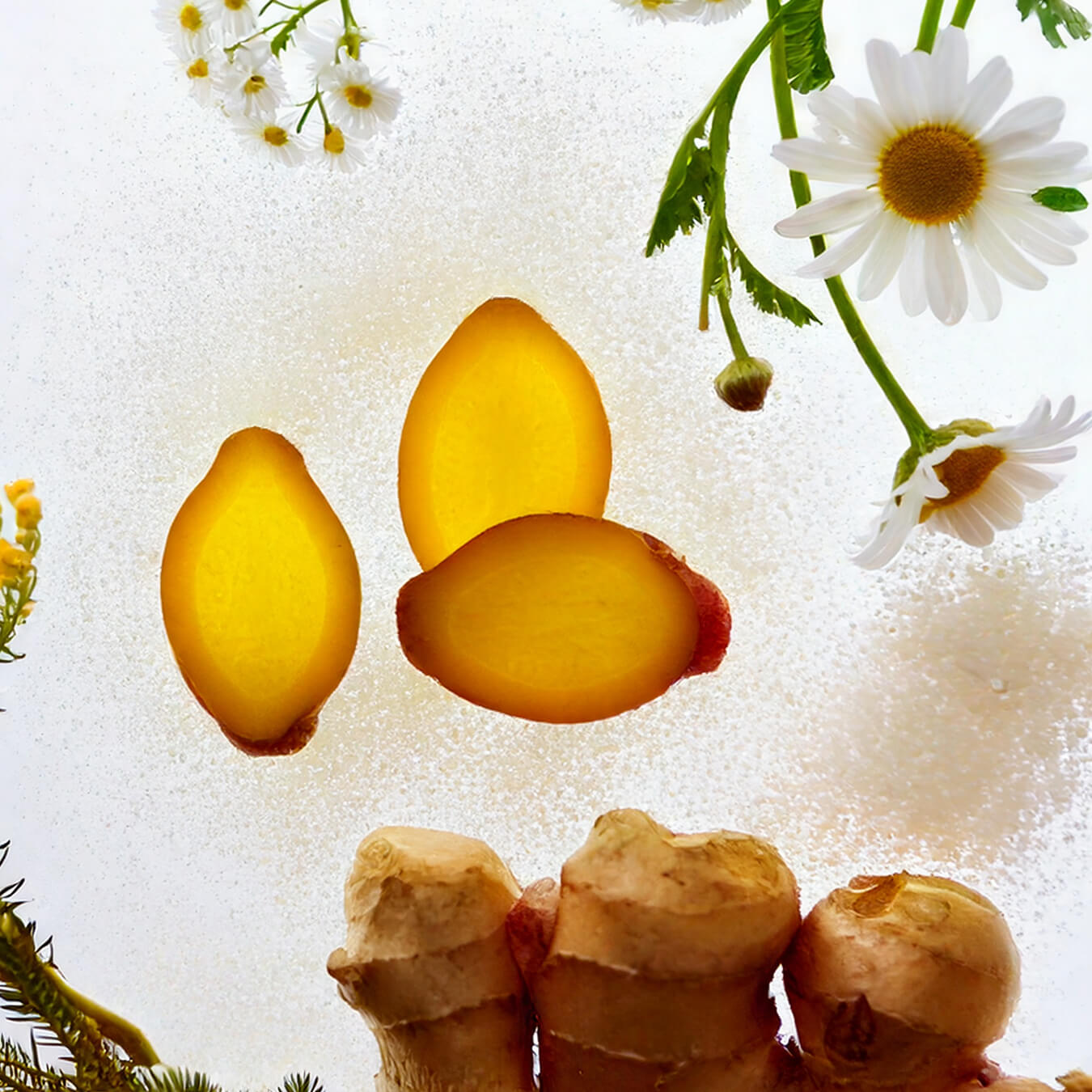 complexe regles douloureuses image ingredient