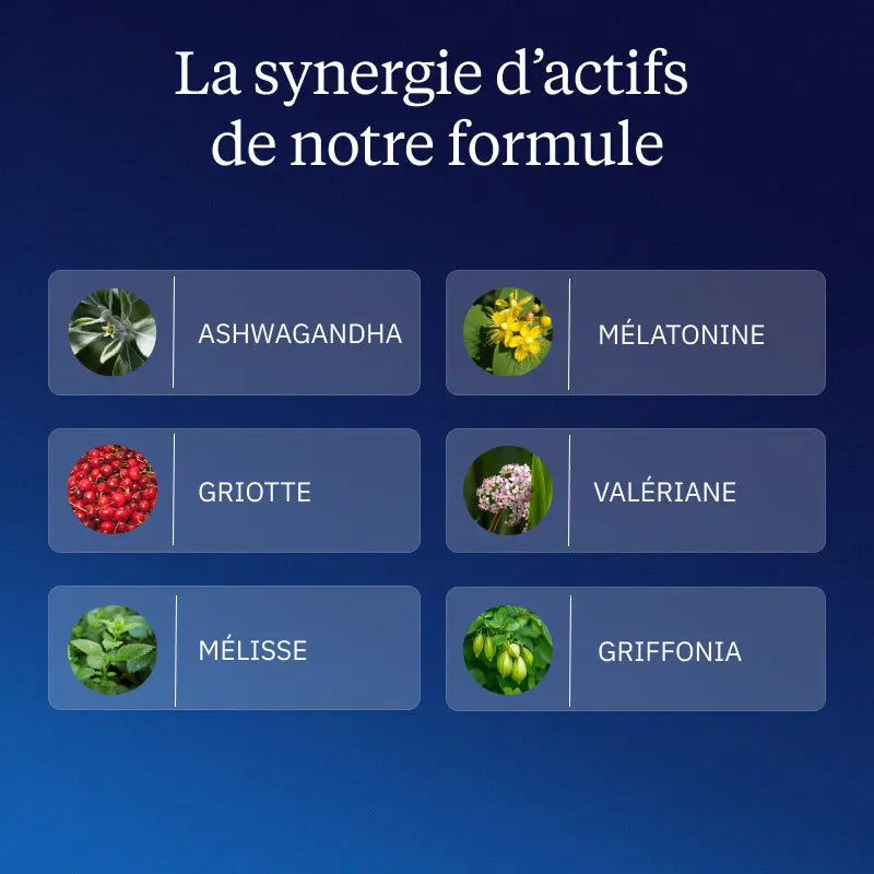 complexe sommeil bienfaits actifs
