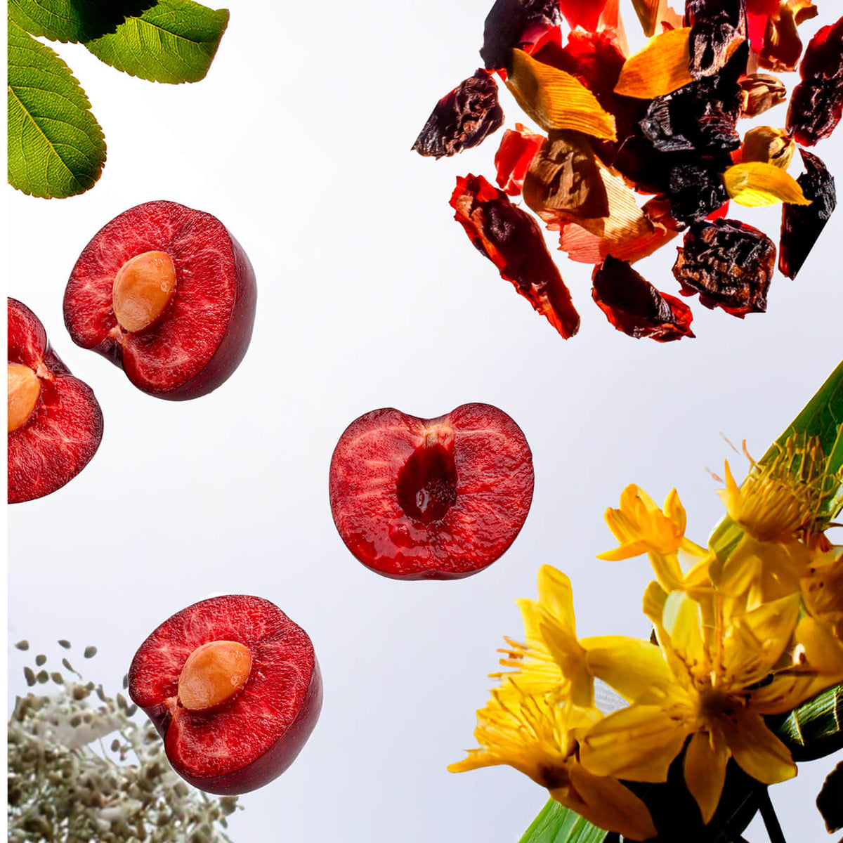 complexe sommeil image ingredient