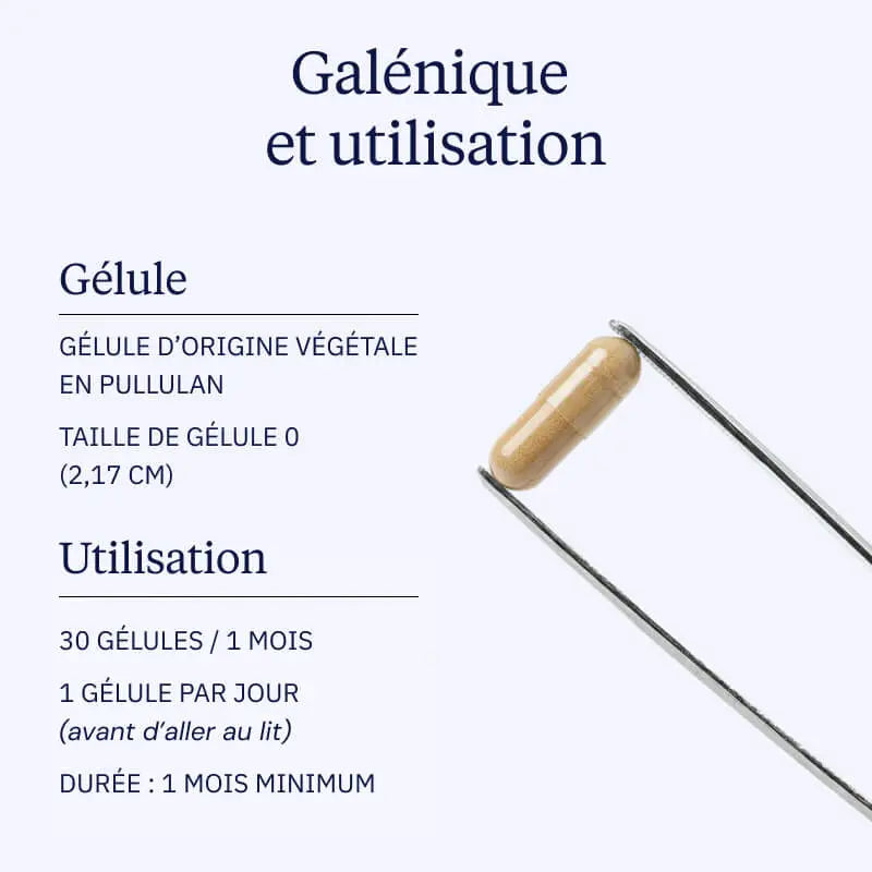 Complexe Sommeil profond nREM