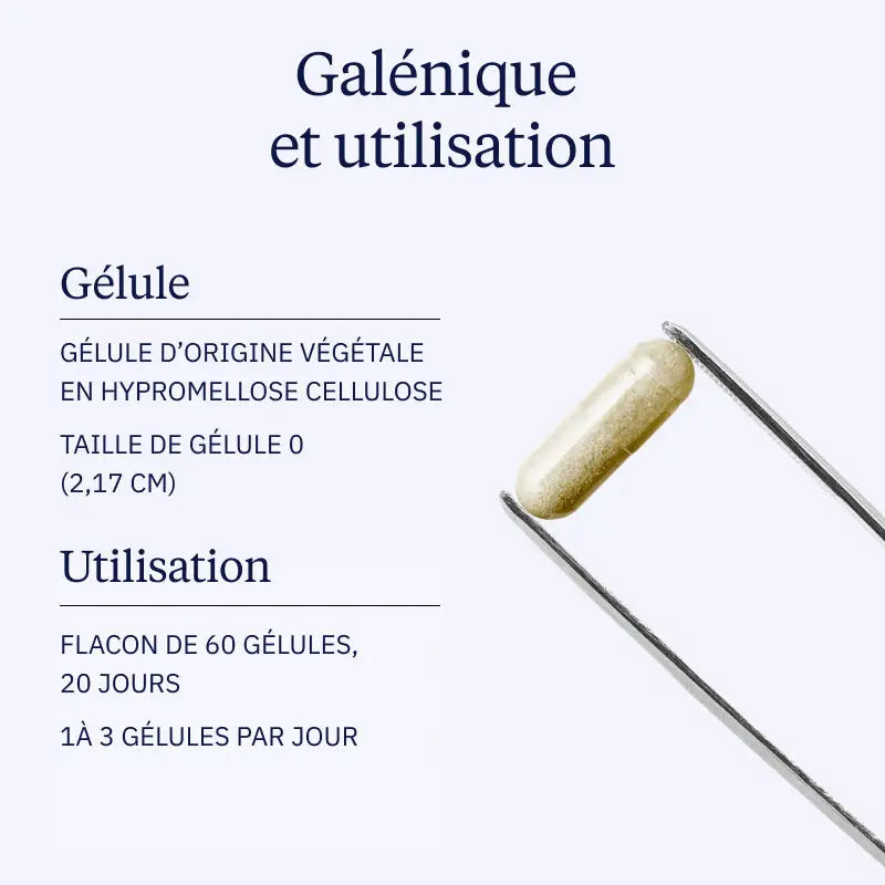 cordyceps galenique pince