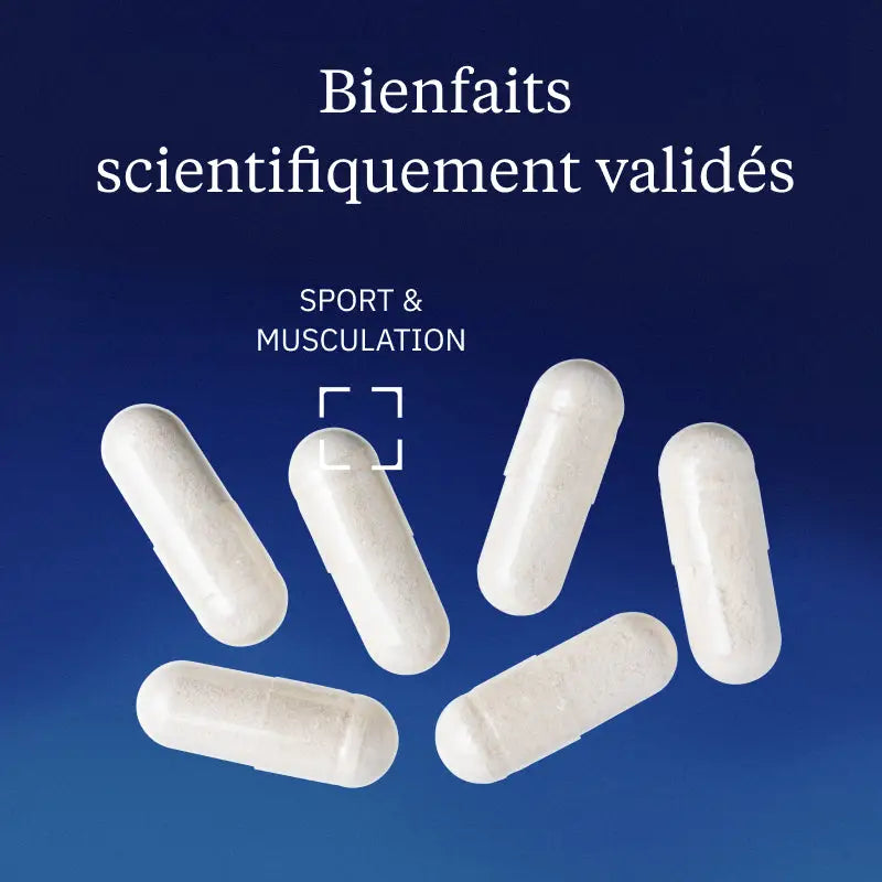 creatine hero image bienfaits