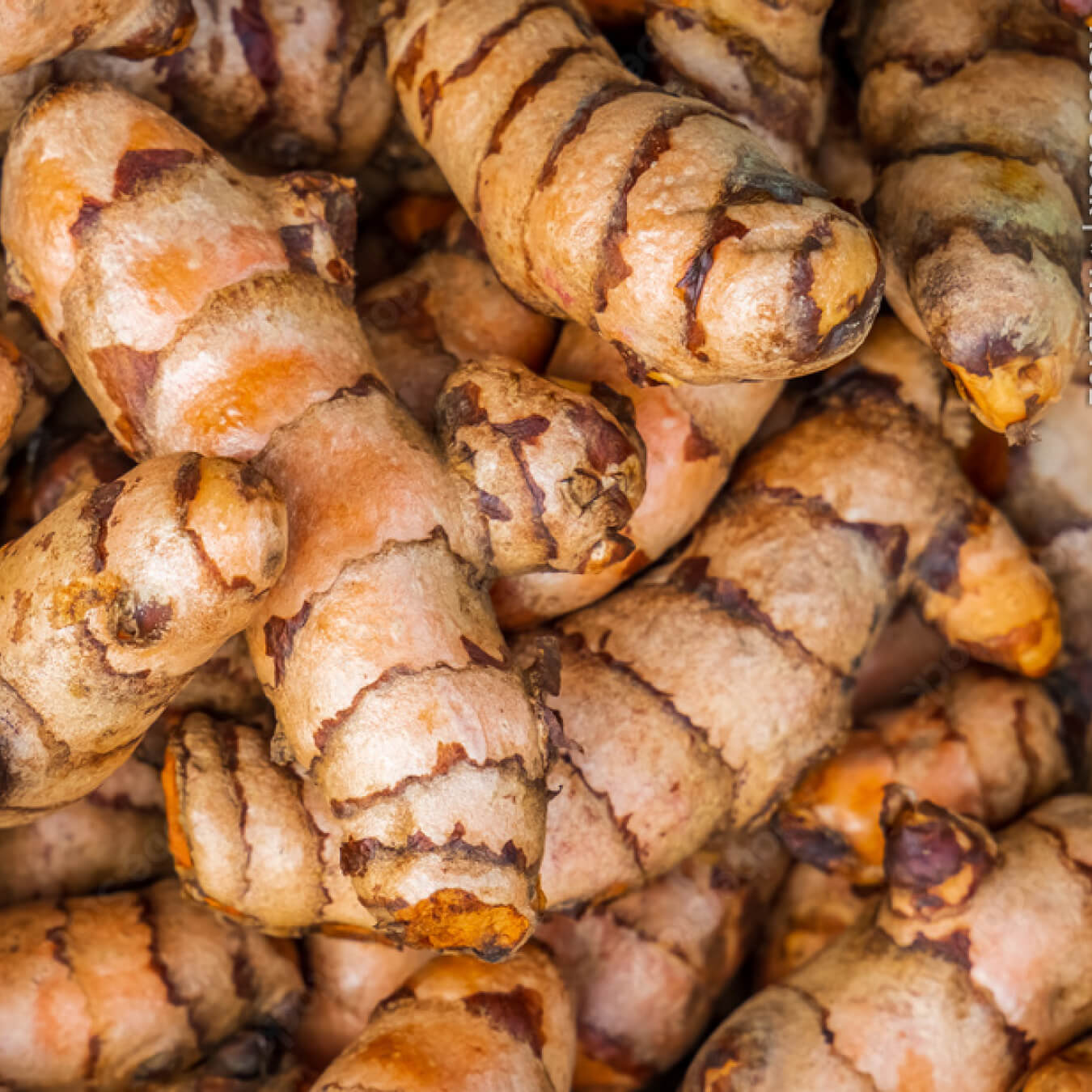 curcumine image ingredient