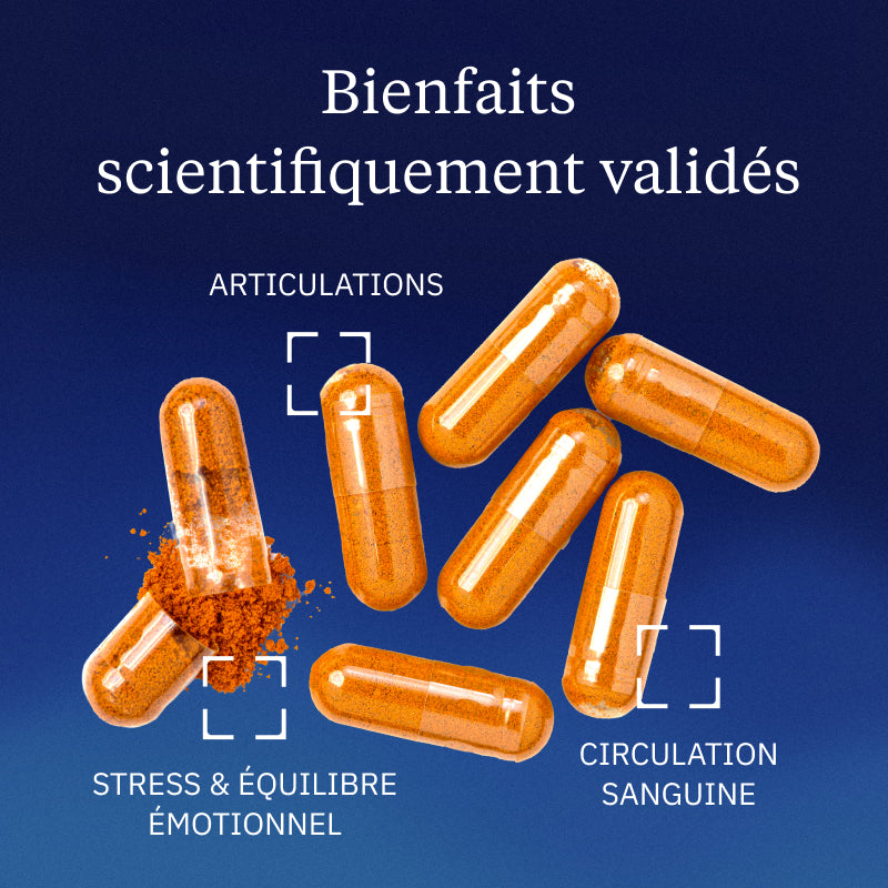 Curcumine BIO Optimisée bienfaits