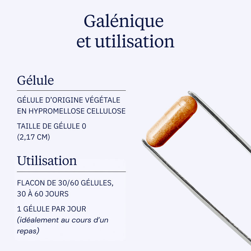 Curcumine BIO Optimisée galénique
