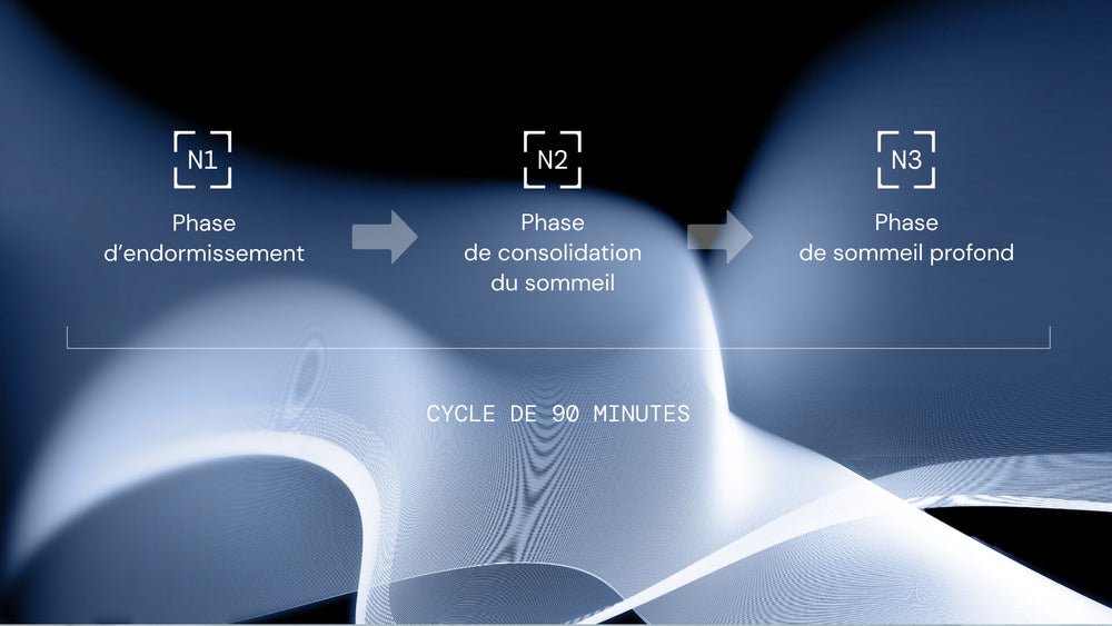 cycle du sommeil
