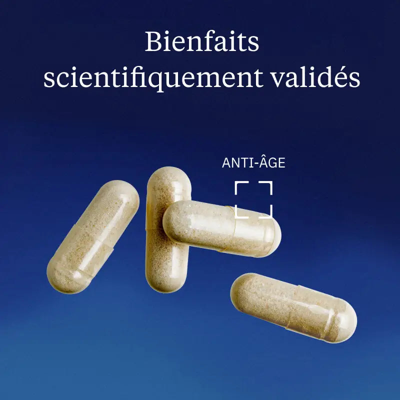 cycloastragenol bienfaits