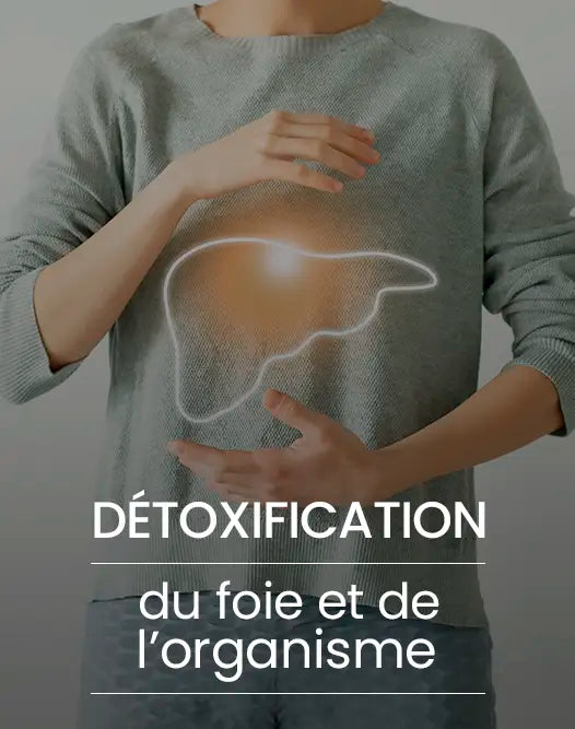 chardon marie glutathion Chardon-Marie : le guide complet pour protger et dtoxifier son foie Tradition Nature Organic Milk Thistle 2400 mg