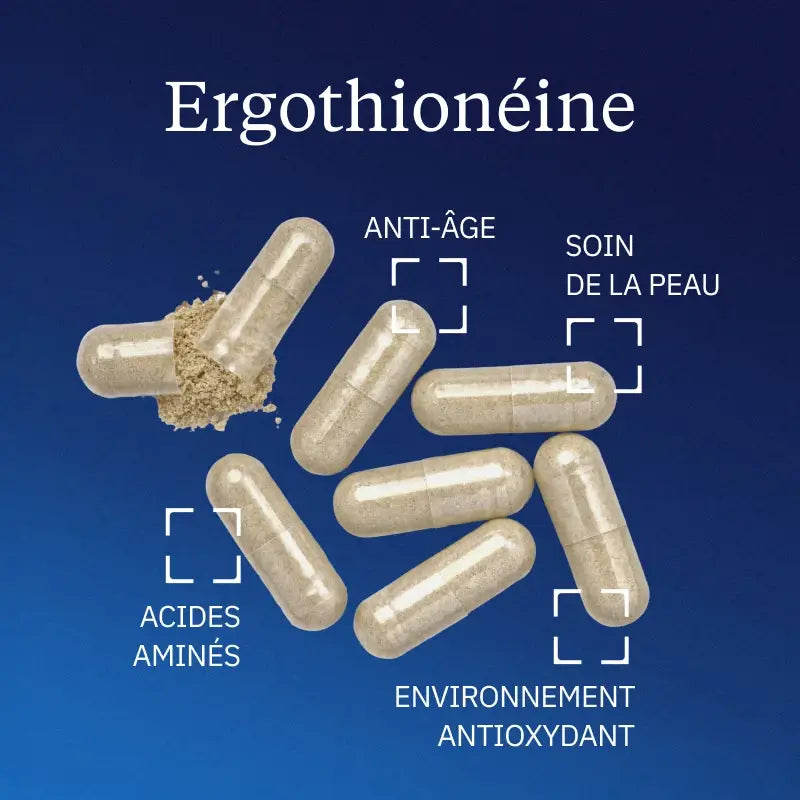 Ergothionéine bienfaits