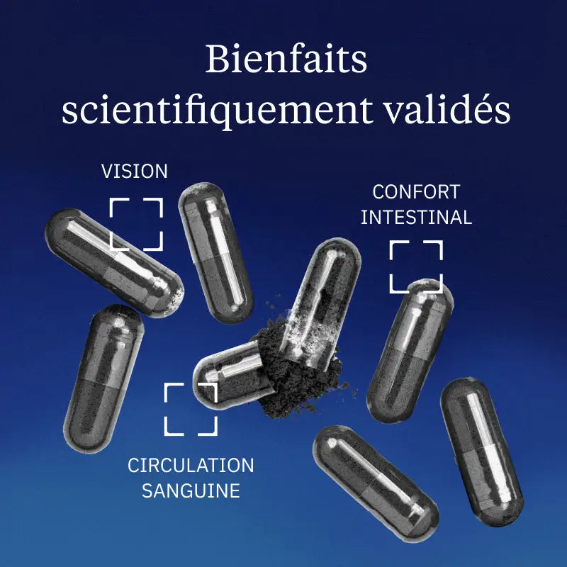 Extrait de myrtille sauvage bienfaits