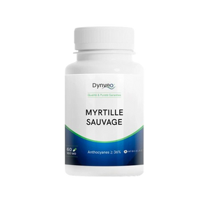 myrtille sauvage