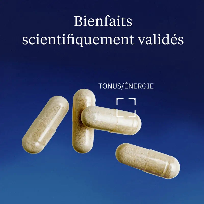 fer bisglycinate bienfaits