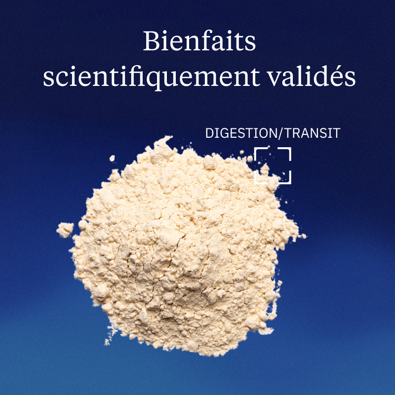 Fibres d'acacia BIO bienfaits