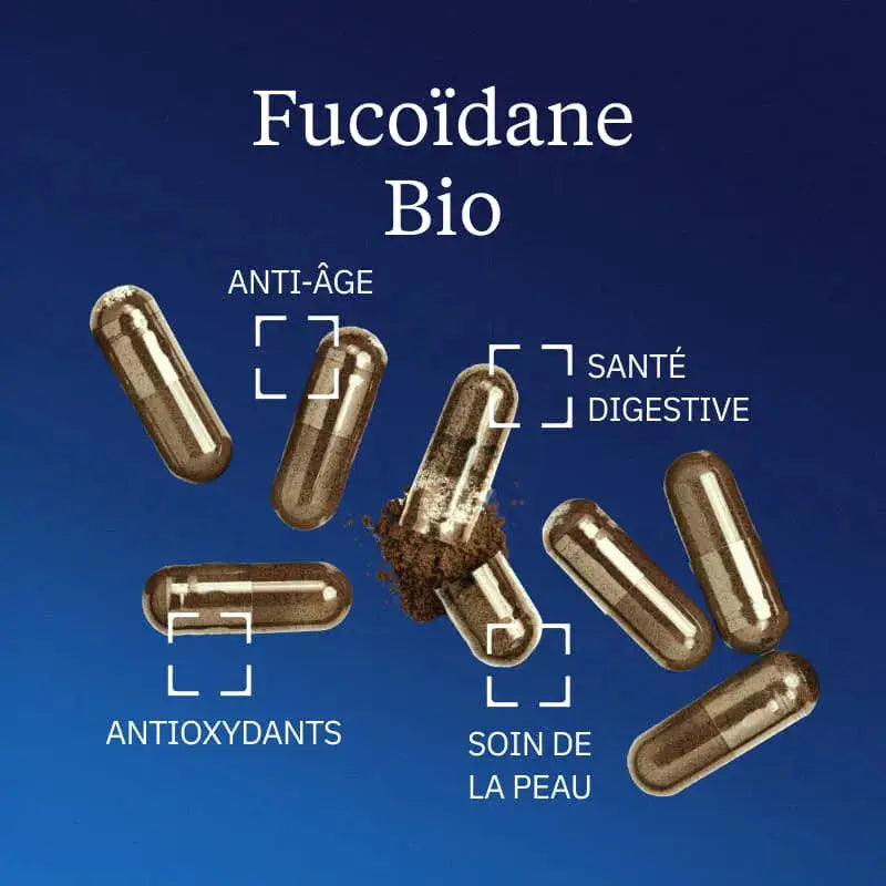 fucoidane bienfaits