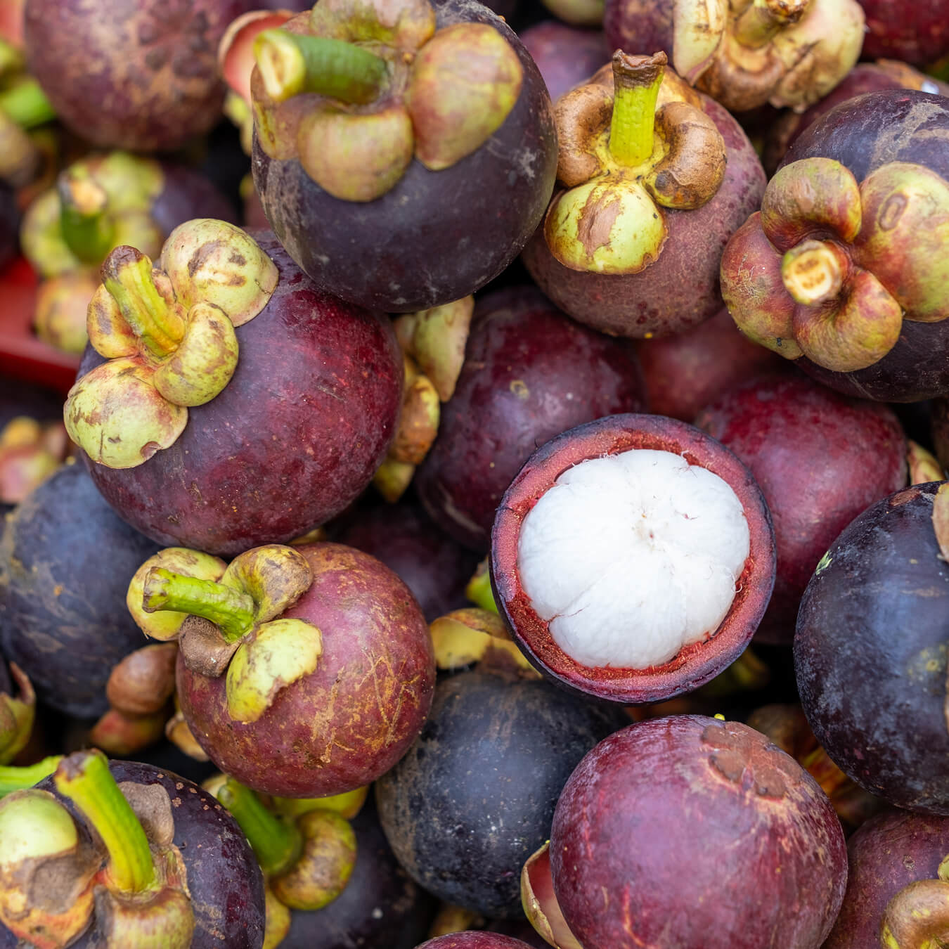 garcinia cambogia image ingredient