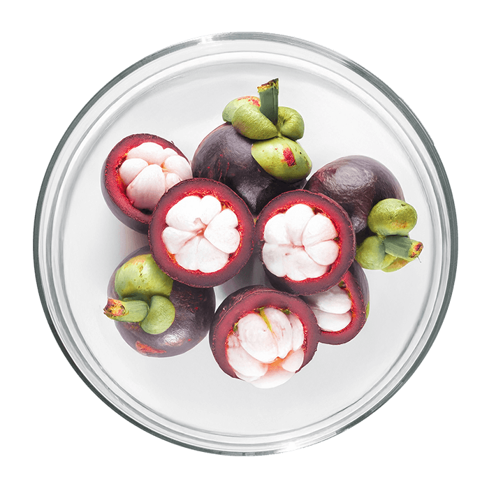 garcinia cambogia image matiere