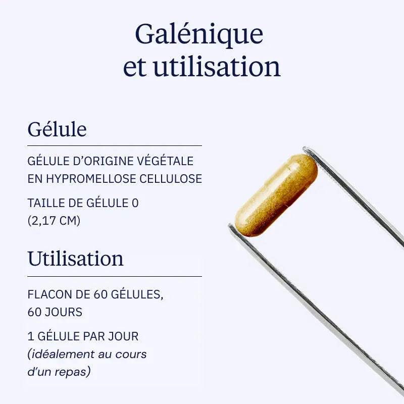 ginkgo biloba galenique