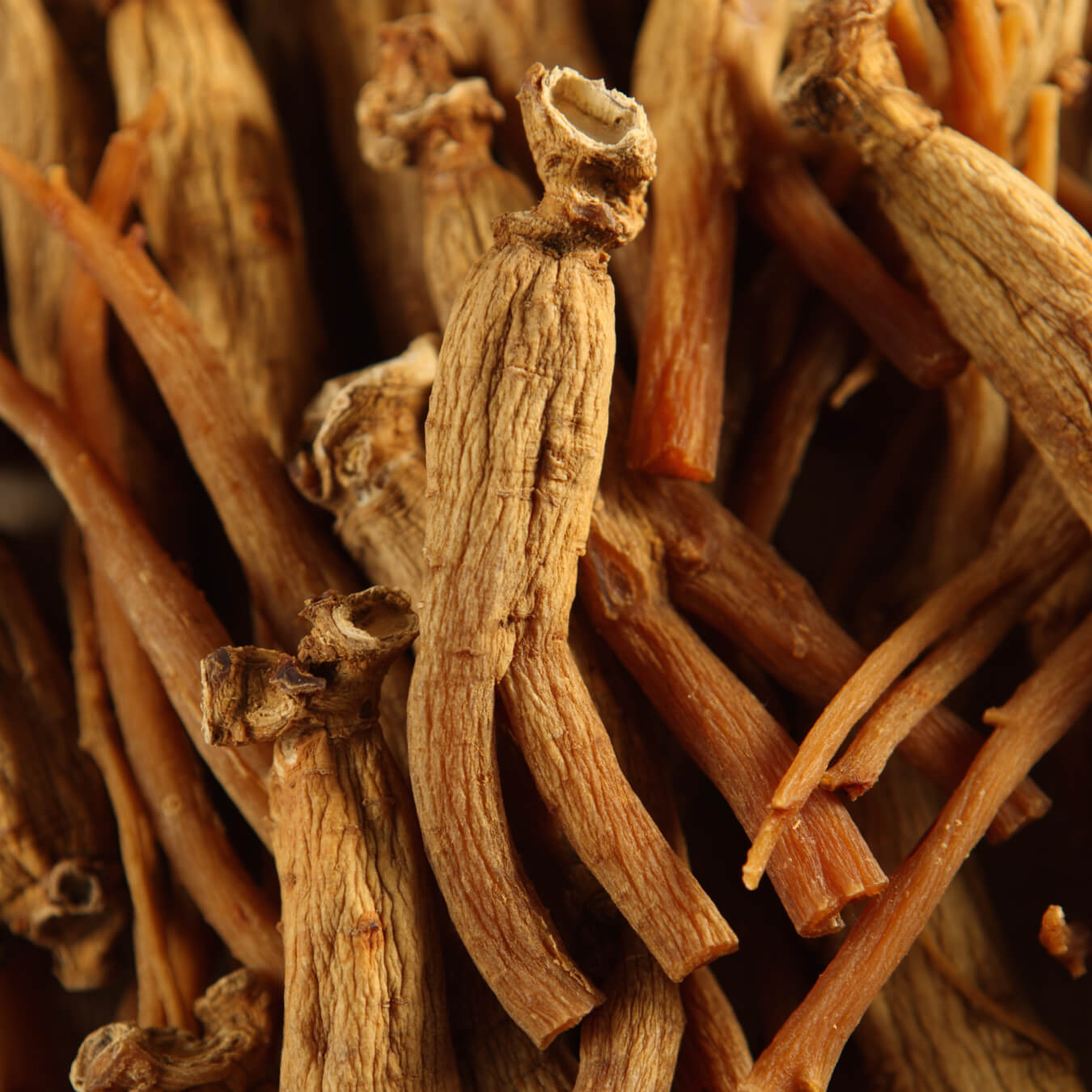 ginseng rouge coreen image ingredient