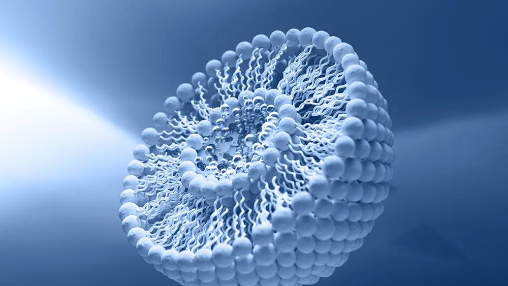 Glutathion Liposomal Naturel en glules - Rduit GSH Glutathion Liposomal Naturel en glules - Rduit GSH