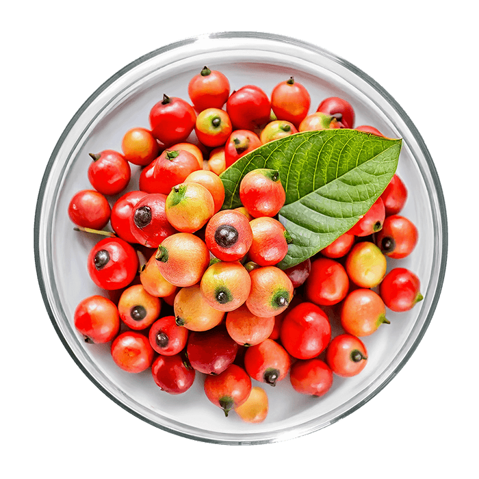 guarana image matiere