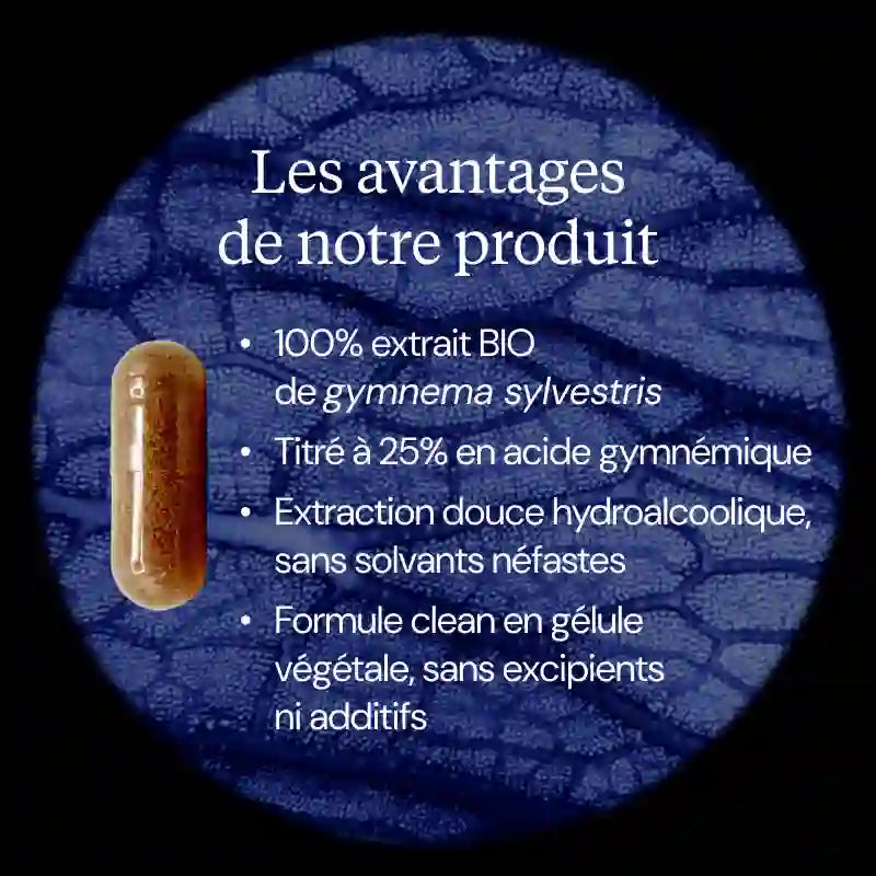 gymnema sylvestris avantages