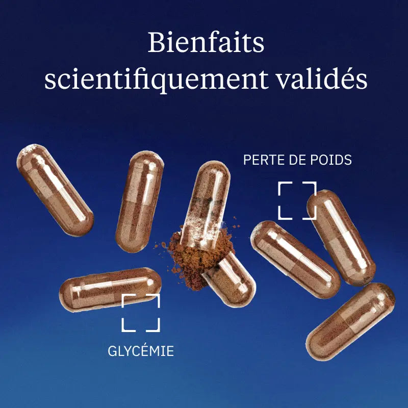 gymnema sylvestris bienfaits