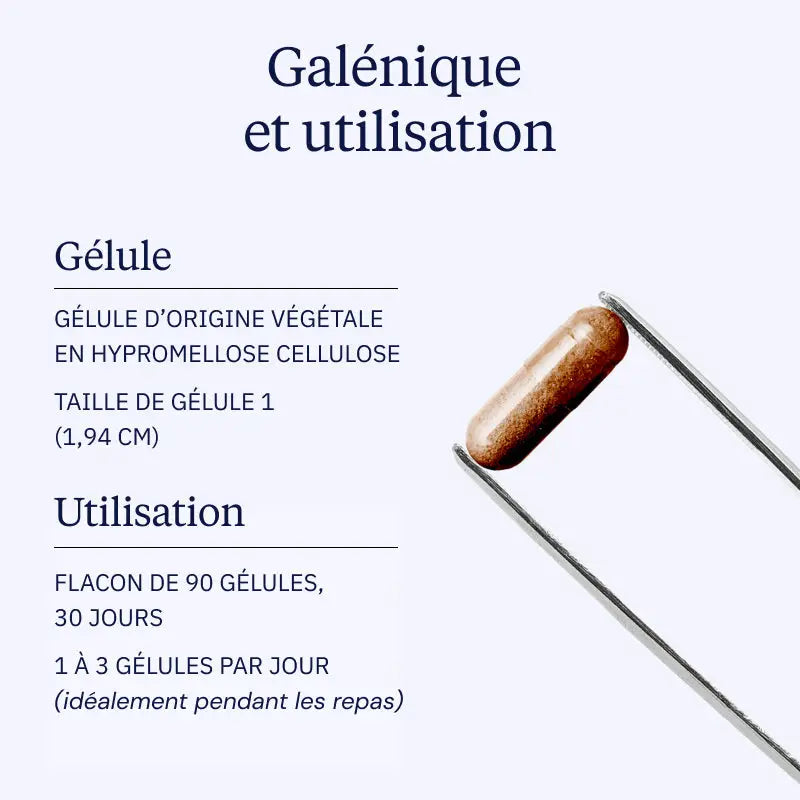 gymnema sylvestris galenique