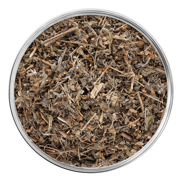 gymnema sylvestris image matiere