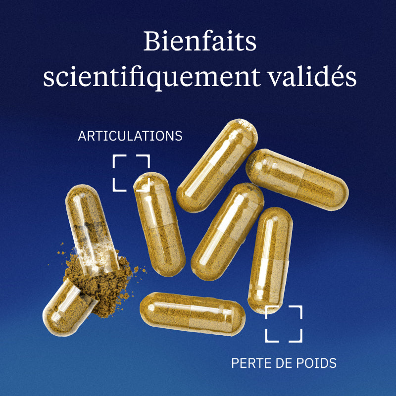 Harpagophytum BIO bienfaits