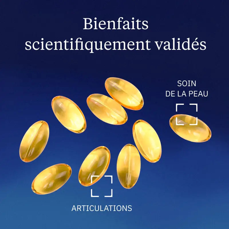 huile bourrache hero image bienfaits