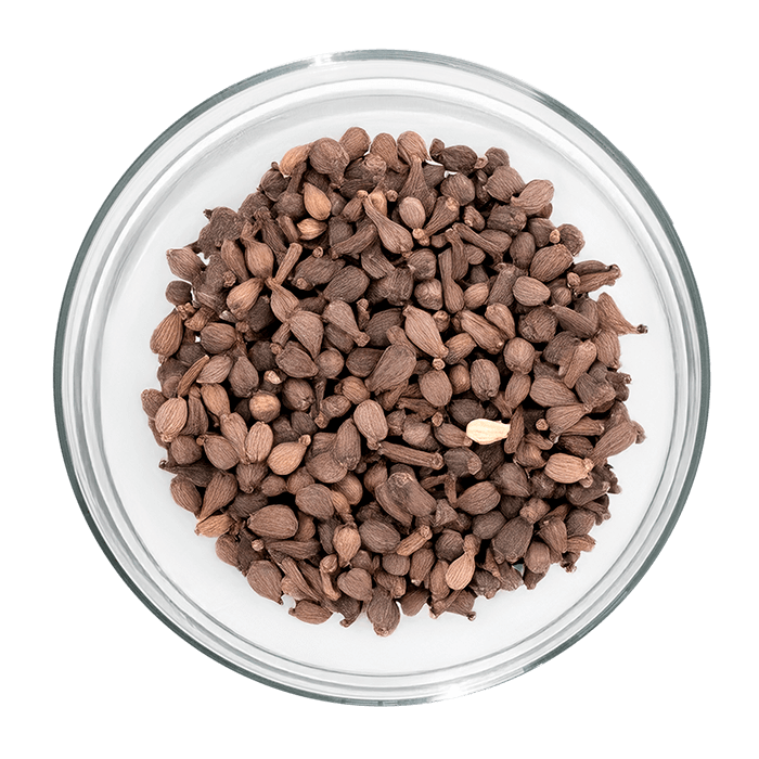 huile bourrache image matiere