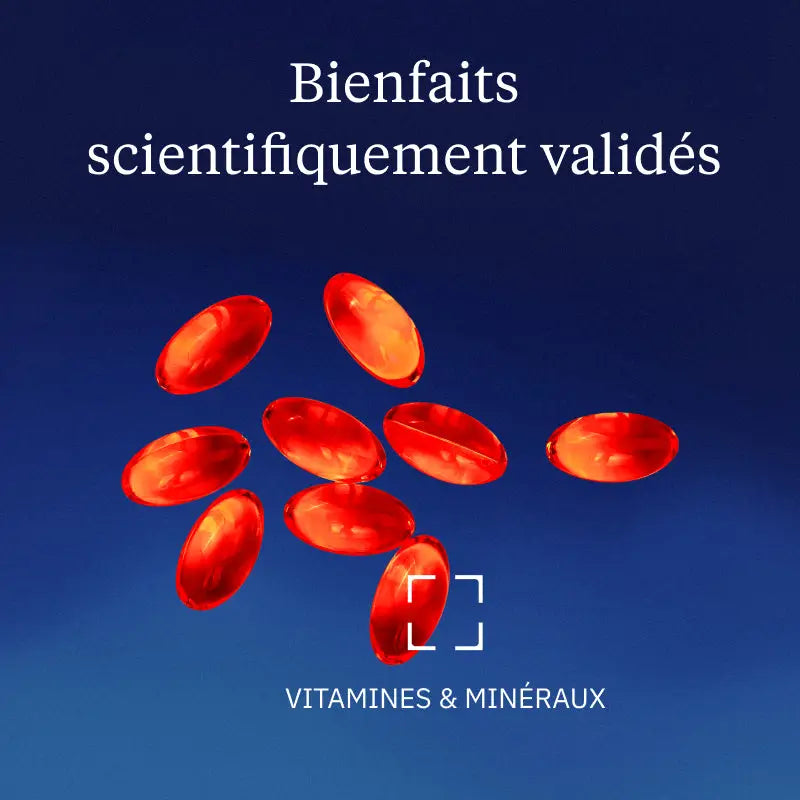 huile d argousier bienfaits