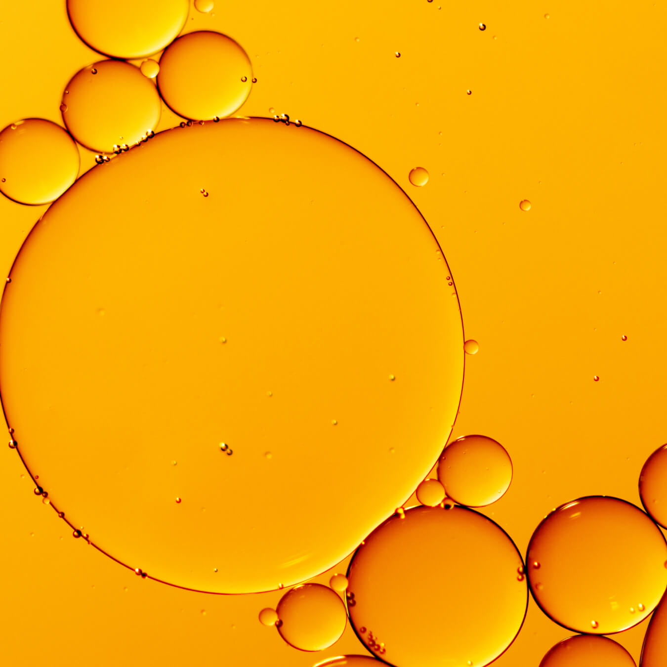 huile foie morue image ingredient