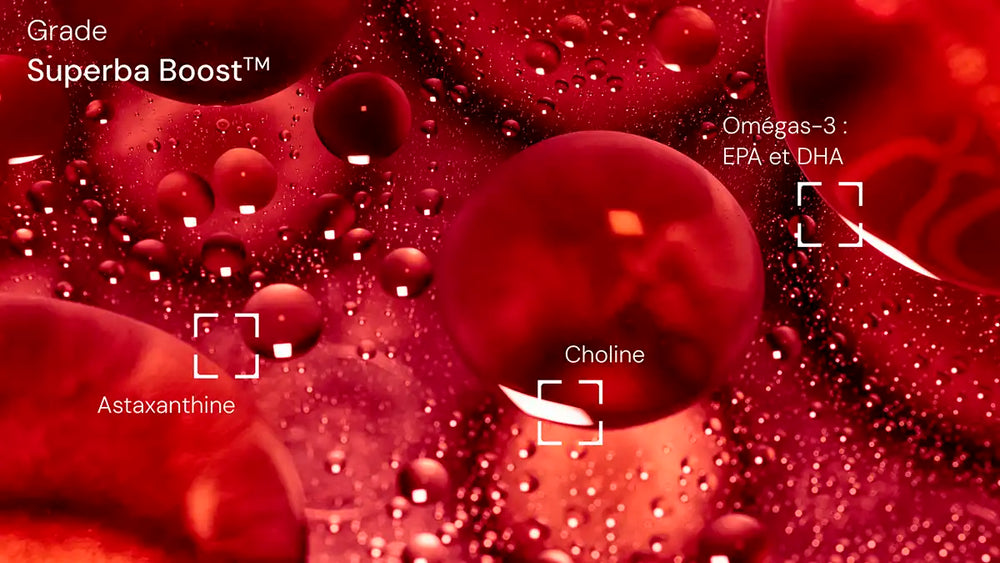 huile krill grade superbaboost